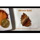 African Gold on Tomoe River Paper