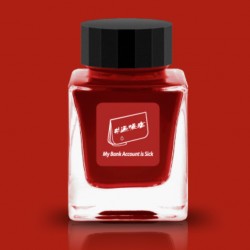 Tono & Lims 'My Bank Account is Sick' Fountain Pen Ink-Friendship