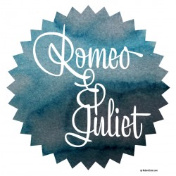 Robert Oster Romeo and Juliet fountain pen ink 50ml