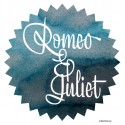 Robert Oster Romeo and Juliet fountain pen ink 50ml